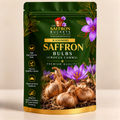 Saffron Bulbs (Crocus Corms)