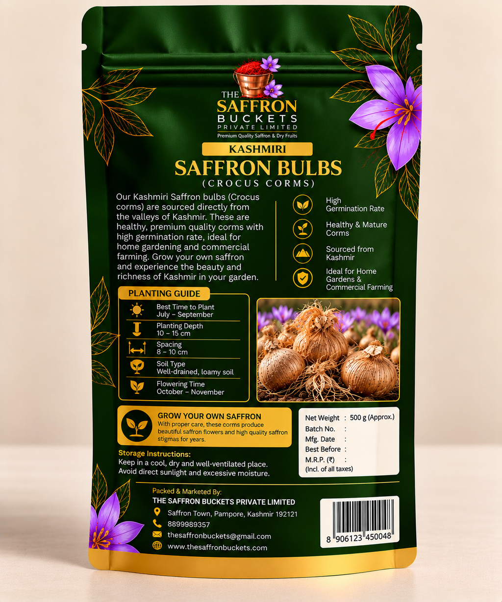 Saffron Bulbs (Crocus Corms)